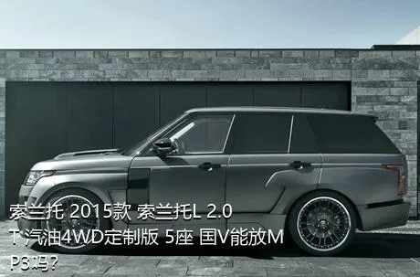 索兰托 2015款 索兰托L 2.0T 汽油4WD定制版 5座 国V能放MP3吗？