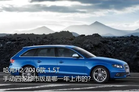 哈弗H2 2016款 1.5T 手动四驱都市版是哪一年上市的？