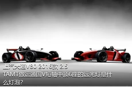 上汽大通V80 2016款 2.5TAMT傲运通国V短轴中顶6座的远光灯是什么灯泡？
