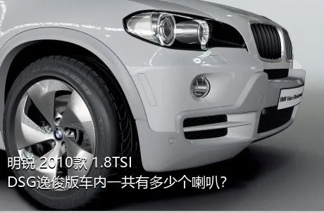 明锐 2010款 1.8TSI DSG逸俊版车内一共有多少个喇叭？