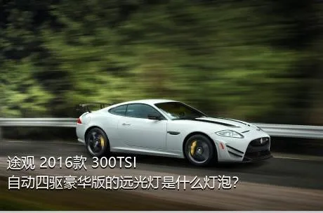 途观 2016款 300TSI 自动四驱豪华版的远光灯是什么灯泡？