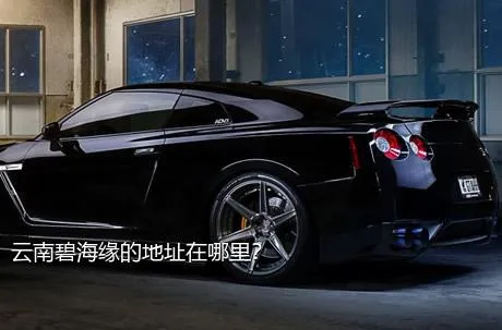 云南碧海缘的地址在哪里？