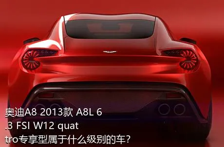 奥迪A8 2013款 A8L 6.3 FSI W12 quattro专享型属于什么级别的车？