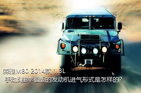 森雅M80 2014款 1.3L 手动5座幸福版的发动机进气形式是怎样的？