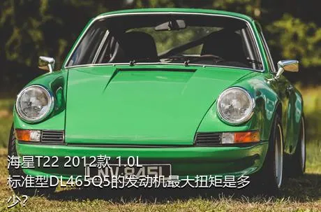 海星T22 2012款 1.0L标准型DL465Q5的发动机最大扭矩是多少？