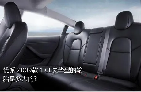优派 2009款 1.0L豪华型的轮胎是多大的？