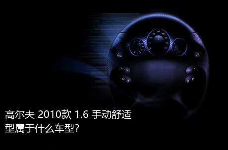 高尔夫 2010款 1.6 手动舒适型属于什么车型？