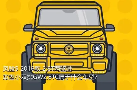 风骏5 2016款 2.8T两驱进取型小双排GW2.8TC属于什么车型？