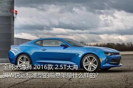 金杯大海狮 2016款 2.5T大海狮W快运标准型的前悬架是什么样的？