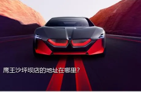 鹰王沙坪坝店的地址在哪里？
