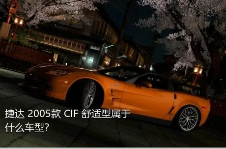 捷达 2005款 CIF 舒适型属于什么车型？