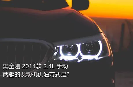 黑金刚 2014款 2.4L 手动两驱的发动机供油方式是？