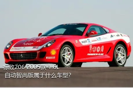 标致206 2005款 1.6L 自动智尚版属于什么车型？