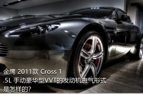 金鹰 2011款 Cross 1.5L 手动豪华型VVT的发动机进气形式是怎样的？