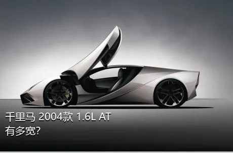 千里马 2004款 1.6L AT有多宽？