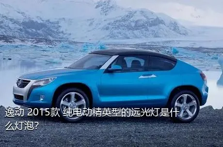 逸动 2015款 纯电动精英型的远光灯是什么灯泡？