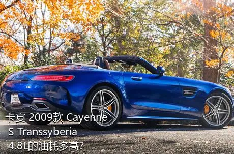 卡宴 2009款 Cayenne S Transsyberia 4.8L的油耗多高？