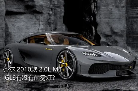 秀尔 2010款 2.0L MT GLS有没有前雾灯？