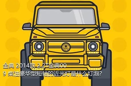 金典 2014款 2.2T金典009 柴油豪华型短轴的近光灯是什么灯泡？