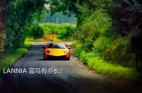 LANNIA 蓝鸟有多长？