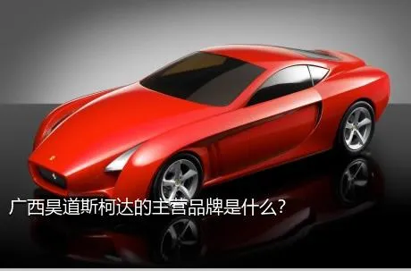 广西昊道斯柯达的主营品牌是什么？