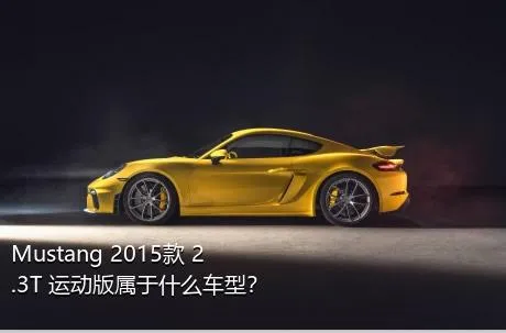 Mustang 2015款 2.3T 运动版属于什么车型？