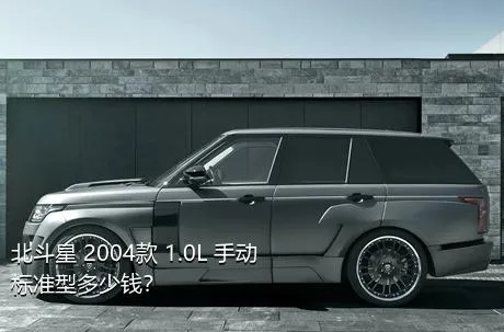 北斗星 2004款 1.0L 手动标准型多少钱？
