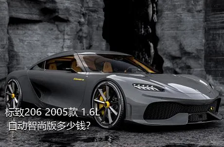 标致206 2005款 1.6L 自动智尚版多少钱？