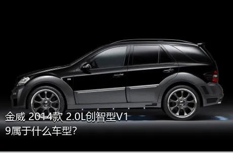 金威 2014款 2.0L创智型V19属于什么车型？