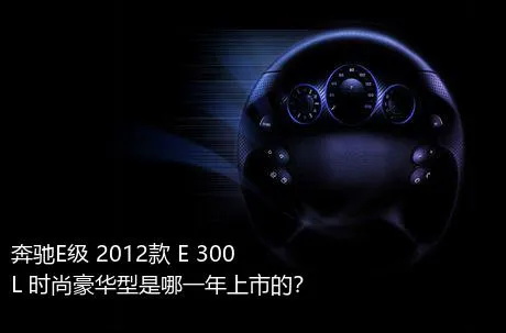 奔驰E级 2012款 E 300 L 时尚豪华型是哪一年上市的？