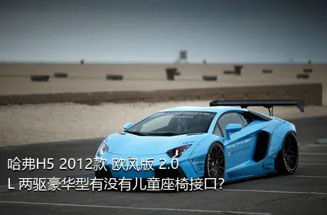 哈弗H5 2012款 欧风版 2.0L 两驱豪华型有没有儿童座椅接口？
