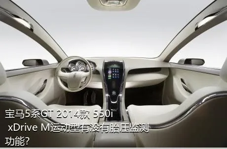 宝马5系GT 2014款 550i xDrive M运动型有没有胎压监测功能？