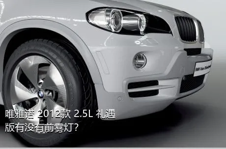 唯雅诺 2012款 2.5L 礼遇版有没有前雾灯？