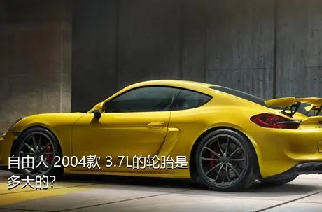 自由人 2004款 3.7L的轮胎是多大的？