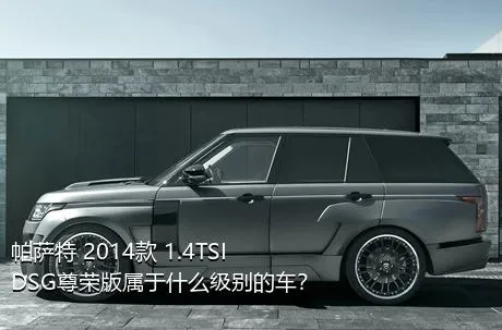 帕萨特 2014款 1.4TSI DSG尊荣版属于什么级别的车？