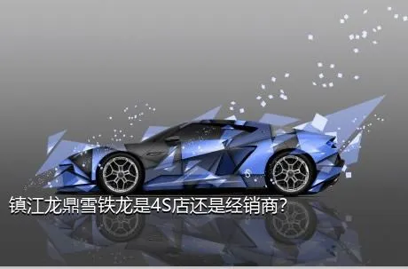 镇江龙鼎雪铁龙是4S店还是经销商？