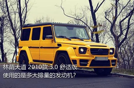 林荫大道 2010款 3.0 舒适版使用的是多大排量的发动机？