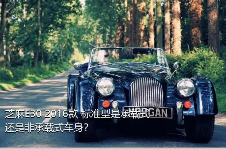 芝麻E30 2016款 标准型是承载式还是非承载式车身？