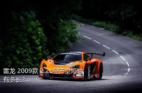 雷龙 2009款 2.2L经济型短轴有多长？