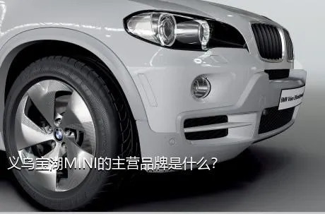 义乌宝湖MINI的主营品牌是什么？
