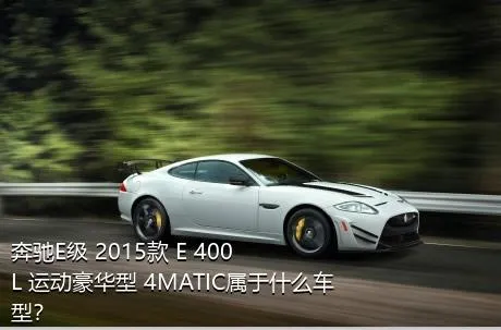 奔驰E级 2015款 E 400 L 运动豪华型 4MATIC属于什么车型？
