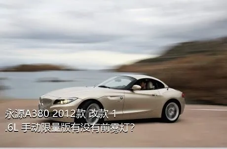 永源A380 2012款 改款 1.6L 手动限量版有没有前雾灯？