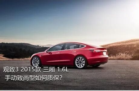 观致3 2015款 三厢 1.6L 手动致尚型如何质保？