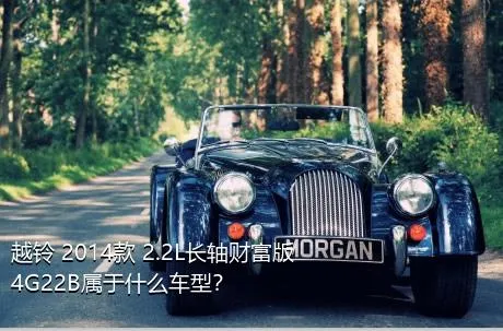 越铃 2014款 2.2L长轴财富版4G22B属于什么车型？