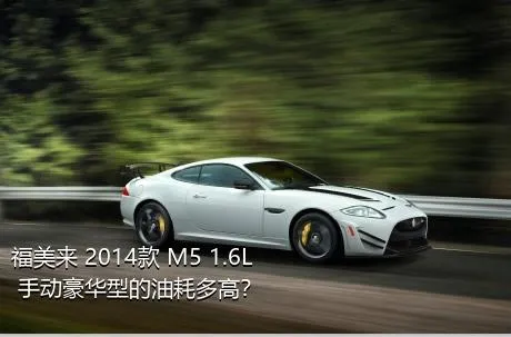 福美来 2014款 M5 1.6L 手动豪华型的油耗多高？