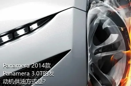 Panamera 2014款 Panamera 3.0T的发动机供油方式是？