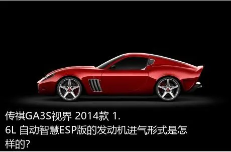 传祺GA3S视界 2014款 1.6L 自动智慧ESP版的发动机进气形式是怎样的？