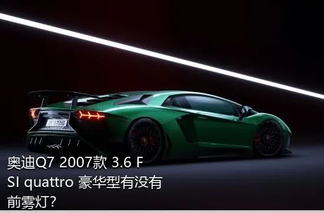 奥迪Q7 2007款 3.6 FSI quattro 豪华型有没有前雾灯？