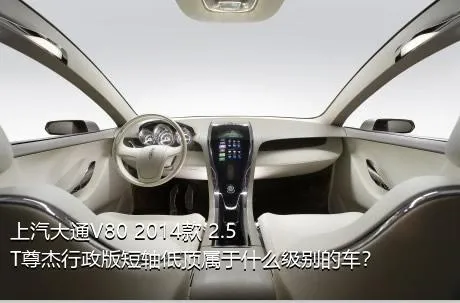 上汽大通V80 2014款 2.5T尊杰行政版短轴低顶属于什么级别的车？