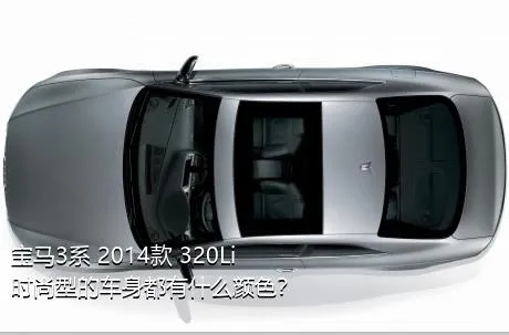 宝马3系 2014款 320Li 时尚型的车身都有什么颜色？